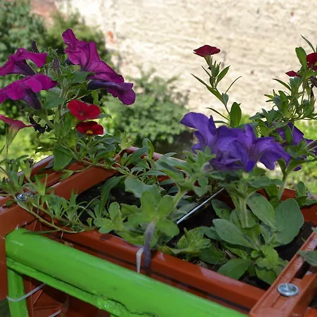 아파트 Near Citadel