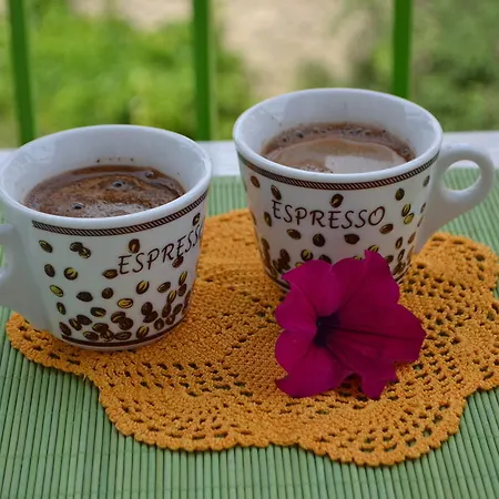 Near Citadel 리비프