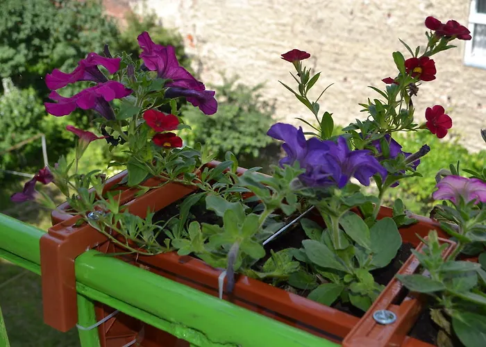 דירה Near Citadel